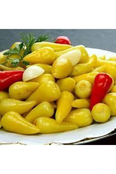 Tohumcumm 40 Adet Biberiye Fındık Biber Turşuluk Biber Tohum Topak Tohum Saksı Toprak Sürpriz Hediye Tohum ürün görseli 1
