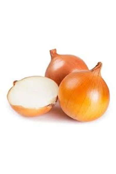 Tohumcumm 20 Adet Tohum Organik Hobi Bahçe Kışlık Kuru Soğan Tohumu Acısız Hasat ürün görseli 1
