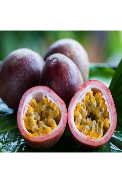 Tohumcumm 10 Adet Tohum Ithal Passiflora Meyvesi Tohumu Çarkı Felek Saat Çiçeği Tohumu Süpriz Hediye Tohumludu ürün görseli 1