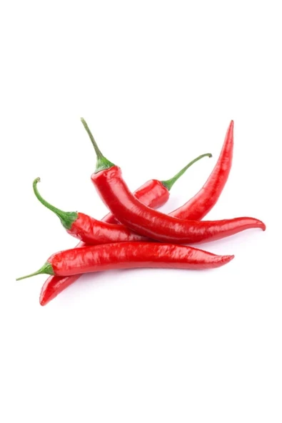 Tohumcumm Şili Biber Tohumu Çok Acı Chili Biber Tohumu 25 Adet Tohum ürün görseli 1
