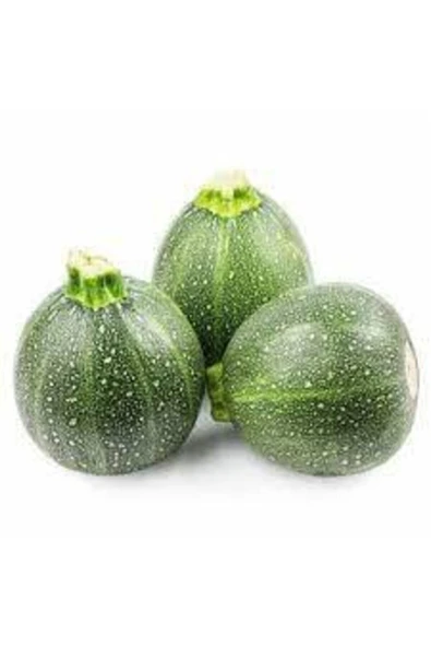 Tohumcumm 25 Adet Tohum Süper Paket Dolmalık Nadir Topak Kabak Tohumu Yuvarlak Kabak Tohumu Hediye Tohumludur ürün görseli 1