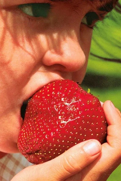 Tohumcumm 30 Adet Tohum Ithal Nadir Dev Çilek Tohum Yediveren Güney Amerika Çileği Tohumu Saksı Toprak Hediye ürün görseli 1
