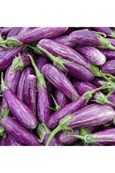 Tohumcumm 100 Adet Tohum Nadir Manisa Alacası Kemer Patlıcan Tohumu Organik Bahçe ürün görseli 1
