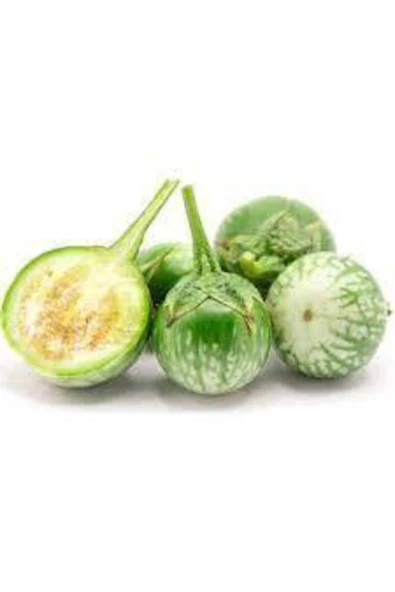 Tohumcumm 5 Adet Tohum Yeşil Dolmalık Patlıcan Tohum Ithal Nadir Thayland Patlıcan Saksı Toprak Sürpriz Hediye ürün görseli 1