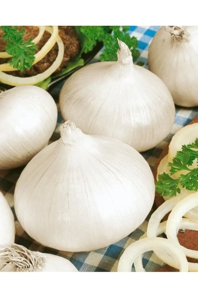 Tohumcumm 50 Adet Tohum Nadir Kışlık Beyaz Kuru Soğan Tohumu Hobi Bahçe Acısız ürün görseli 1