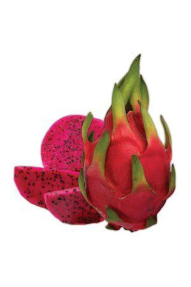Tohumcumm 15 Adet Pitaya Ağacı Tohumu Kırmızı Pitaya Tohum Ejder Meyvesi Tohumu + Saksı Toprak ürün görseli 1