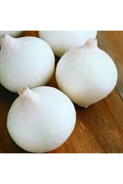 ata tohumculuk 50 Adet Tohum Nadir Bulunan Beyaz Kışlık Kuru Soğan Tohumu Kuru Beyaz Soğan ürün görseli 1
