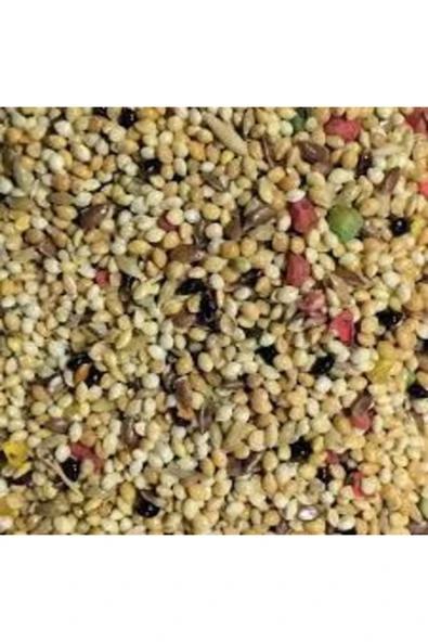 Köy Tohumları 250gr Üçlü Karışım Kuş Yemi Her Kuş Için Özel Üretilmiştir Kuş Yemi Kanarya Hint Bülbülü Ödüllü Kuş ürün görseli 1