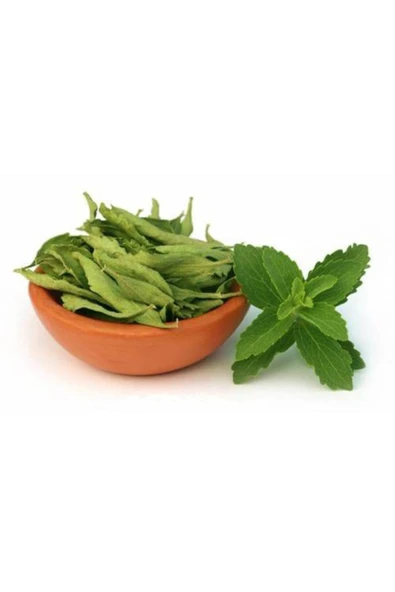 Tohumcumm Şeker Otu Tohumu Stevia Tohumu 20 Adet Tohum + Saksı + Toprak ürün görseli 1