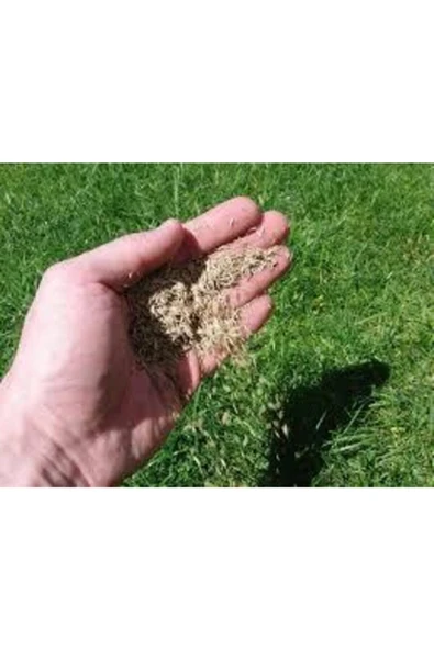 ata tohumculuk 500 gr İthal 3'lü Çim Tohumu ürün görseli 1