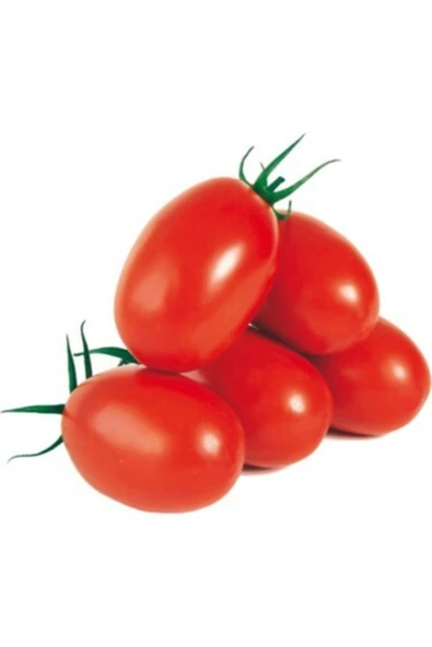 Tohumcumm Zeytin Domates Tohumu 10 Adet Saksılık Domates Tohumu ürün görseli 1