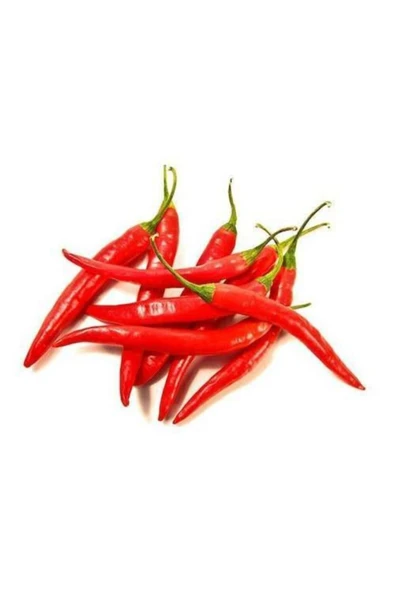 Tohumcumm Şili Biberi Tohumu Çok Acı Chili Biber Tohumu 50 Adet Tohum ürün görseli 1