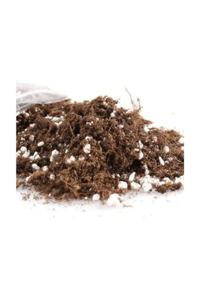 Tohumcumm 1 Litre Bonsai Ağacı Toprağı + Sürpriz Hediye Tohum ürün görseli 1