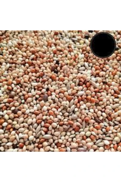Köy Tohumları 500gr Üçlü Karışım Kuş Yemi Her Kuş Için Özel Üretilmiştir Kuş Yemi Kanarya Hint Bülbülü Ödüllü Kuş ürün görseli 1