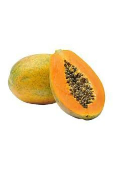 Tohumcumm 3 Adet Tohum Ithal Nadir Tropikal Bodur Papaya Ağacı Tohumu ürün görseli 1