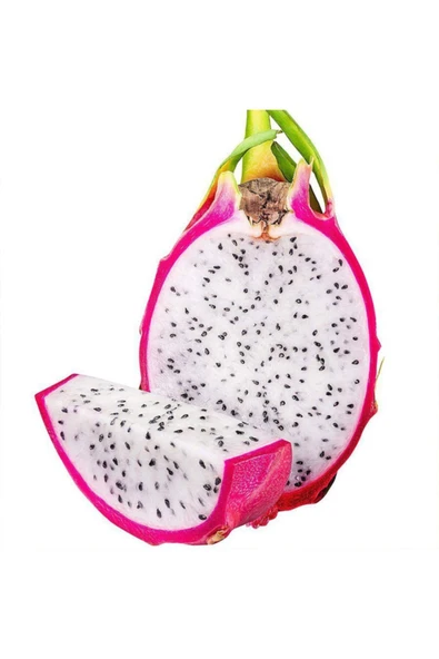 Tohumcumm 60 Adet Pitaya Tohumu Beyaz Pitaya Ağacı Tohum Ejder Meyvesi Tohumu ürün görseli 1