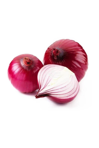 Tohumcumm 100 Adet Tohum Nadir Ithal Mor Soğan Tohumu ürün görseli 1