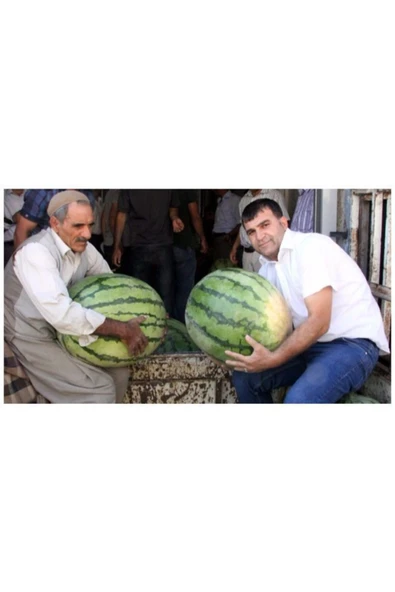 Tohumcumm Meşhur Diyarbakır Karpuzu Tohumu Karpuz Tohumu Diyarbakır Karpuz Tohumu 5 Tohum ürün görseli 1