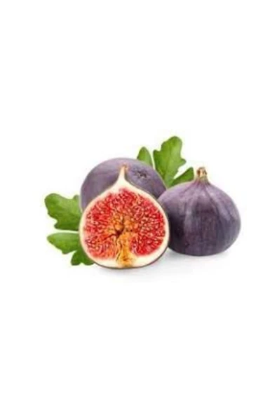 Tohumcumm Siyah Incir Tohumu Incir Ağacı Tohumu 20 Adet ürün görseli 1