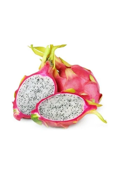 Tohumcumm Pitaya Ejder Meyvesi Tohumu 10 Adet ürün görseli 1