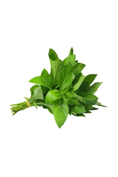 Tohumcumm Nane Tohumu Yediveren Ithalyan Ithal Nane Tohumu 50 Adet Tohum ürün görseli 1