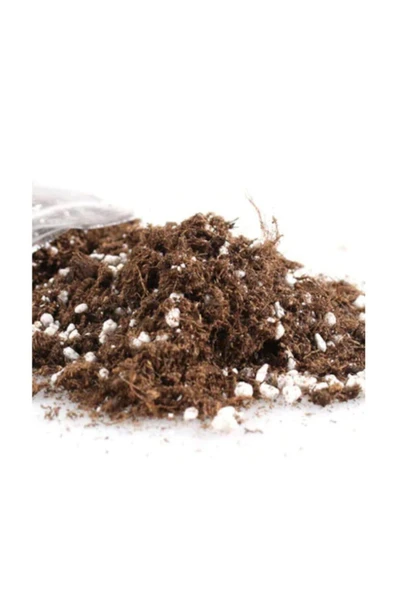 Tohumcumm Ithal Bonzai Ağacı Toprağı 1 Litre Bonsai Toprağı Bonsai Tree Soil ürün görseli 1