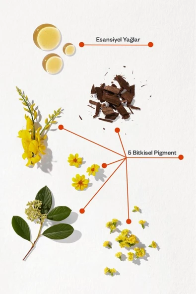 PHYTO Phytocolor Bitkisel Saç Boyası ''1 Siyah'' - Resim 7