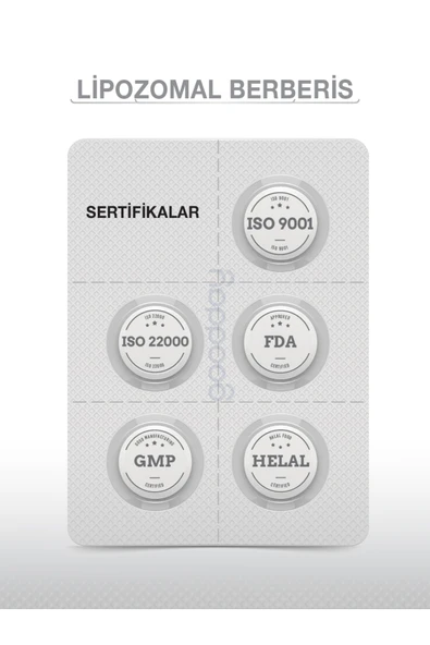 GOODDAY LİPOZOMAL BERBERİS 60 TABLET - Resim 7