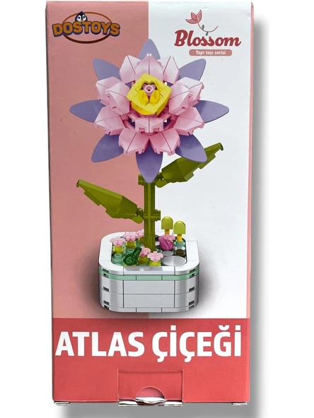 Oceanfour Oyuncak 103 C5 Atlas Çiçek Blok - Resim 4