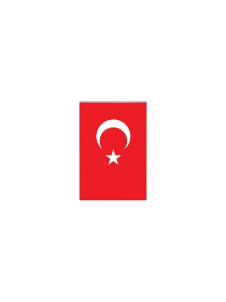 Vatan Polyester Bayrak Türk Bayrağı 40X60Cm ürün görseli 1