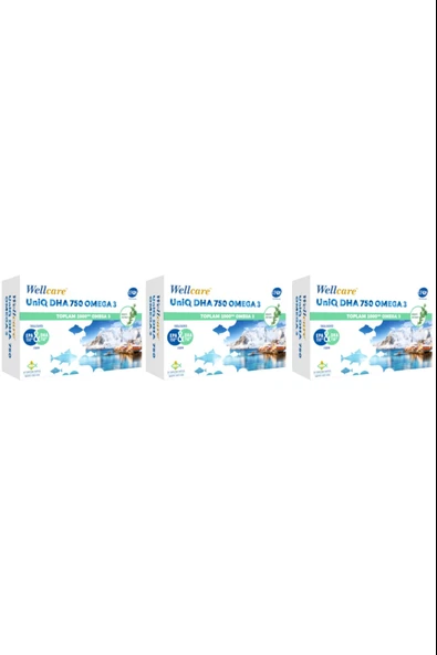 Wellcare Omega 3 Balık Yağı 750 mg 30 Kapsül 3 Adet ürün görseli 1