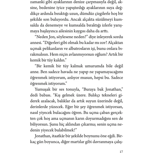 Martı - Resim 5