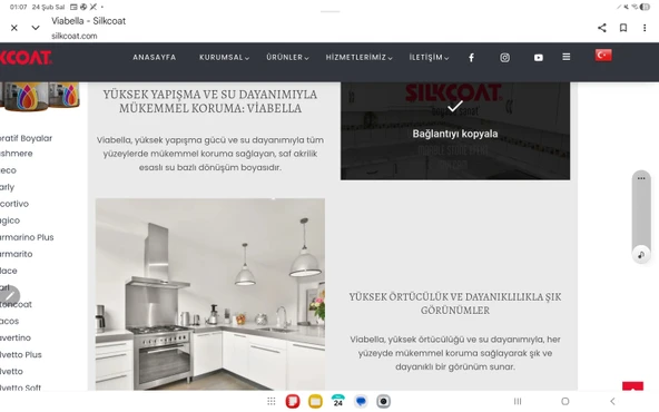 SİLKCOAT VİABELLA BOYA YENİLEME SETİ - Resim 4