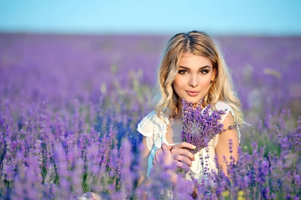 Heliotrope Moru Lavanta Fidanı 5 Adet 10-20 Cm İntermedia ürün görseli 1