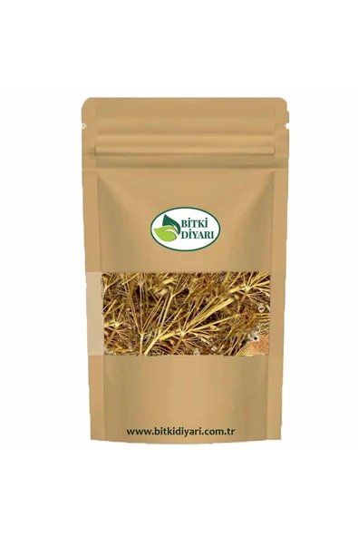 Melek Otu (Angelica archangelica) 250gr ürün görseli 1