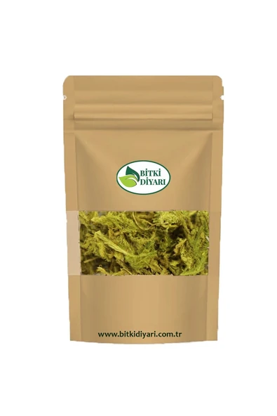 Kibrit Otu (Lycopodium clavatum) Kurtpençesi 500gr ürün görseli 1