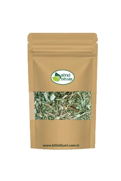 Damar Otu (Folium plantaginis) 50gr ürün görseli 1