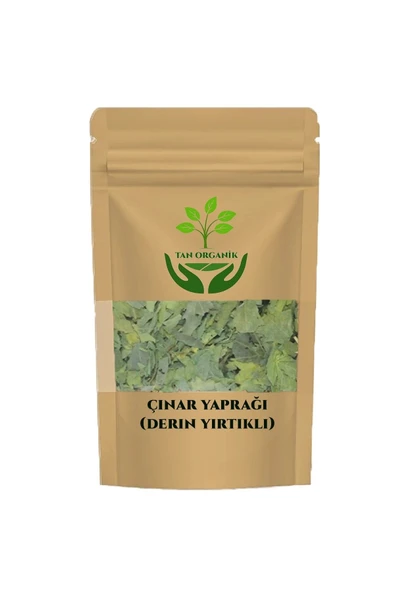 Çınar Yaprağı (Derin yırtıklı) 30gr ürün görseli 1