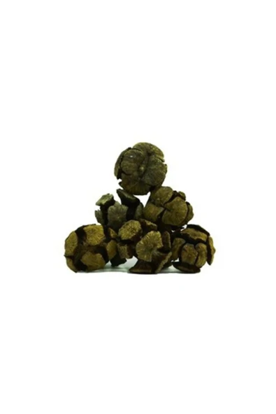Selvi Kozalağı 50 gr ürün görseli 1