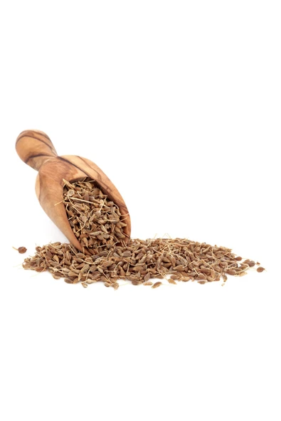 Anason Tohumu 100gr ürün görseli 1
