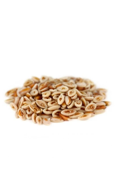 Karnıyarık Otu Tohumu 100gr ürün görseli 1