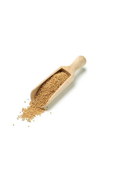 Sarı Hardal Tohumu 100gr ürün görseli 1