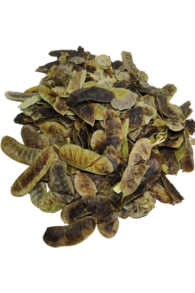 Açlık Otu Paket 100gr ürün görseli 1
