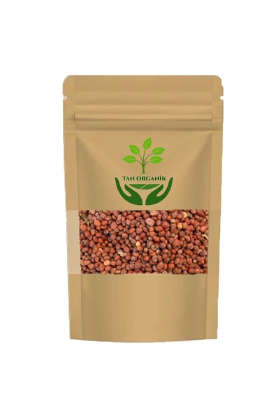 Kara Turp Tohumu (Raphanus sativus) 100gr ürün görseli 1