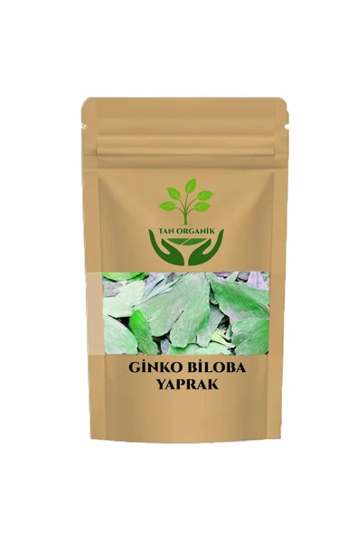 Ginko Biloba (Mabet ağacı)Yaprağı 1000g ürün görseli 1