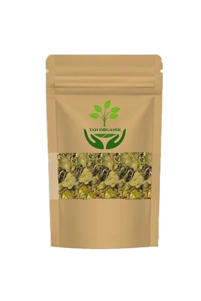 Gimneya (Gymnema sylvestre) Cinnema Gurmar 100gr ürün görseli 1