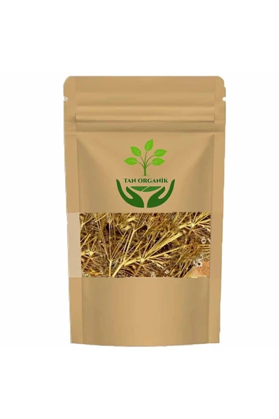 Melek Otu (Angelica archangelica) 500gr ürün görseli 1
