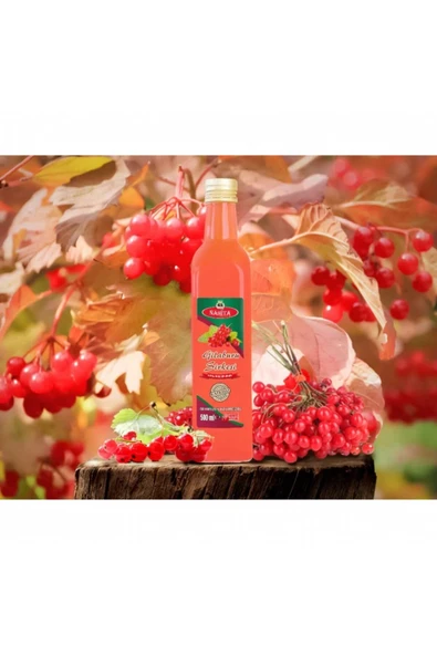 GİLABURU SİRKESİ EV YAPIMI DOĞAL 500ML ürün görseli 1