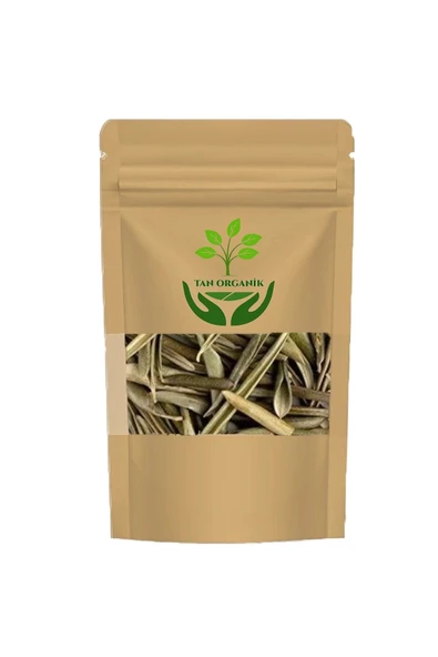 Zeytin Yaprağı (Olea europaea) 25gr ürün görseli 1