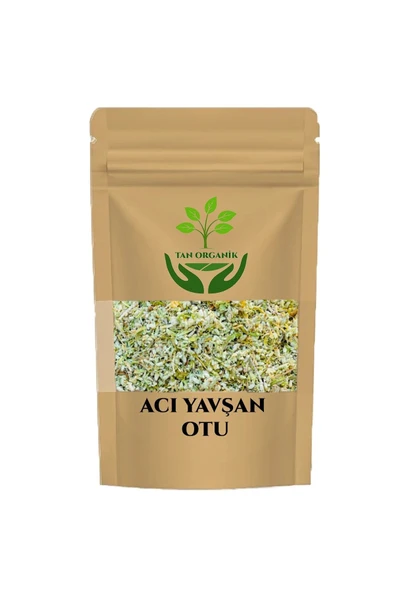 Acı Yavşan Otu (Artemisia Absinthium L.) Bodur Mahmut 500gr ürün görseli 1